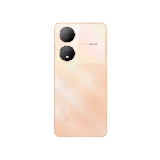 vivo Y100